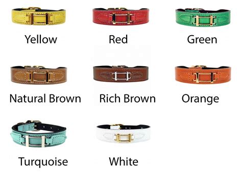 replica hermes dog collar and leash|Hermes dog harness.